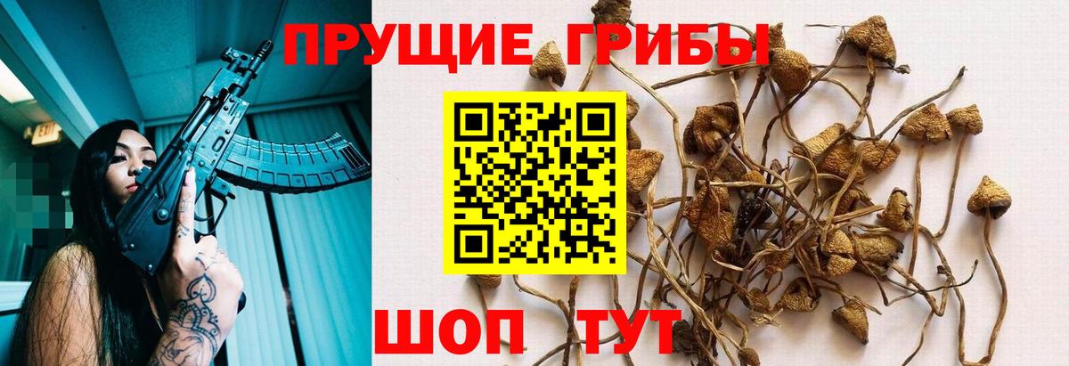 Новоалександровск  Галлюциногенные грибы мицелий  Вход с VPN 