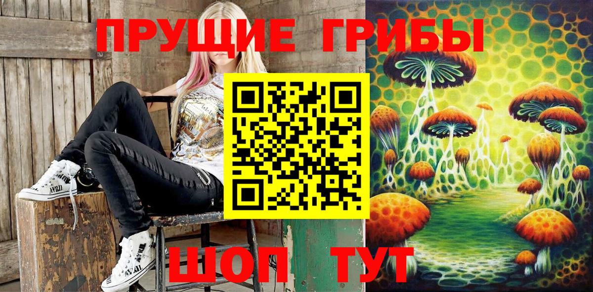 Галлюциногенные грибы Psilocybine cubensis Новоалександровск